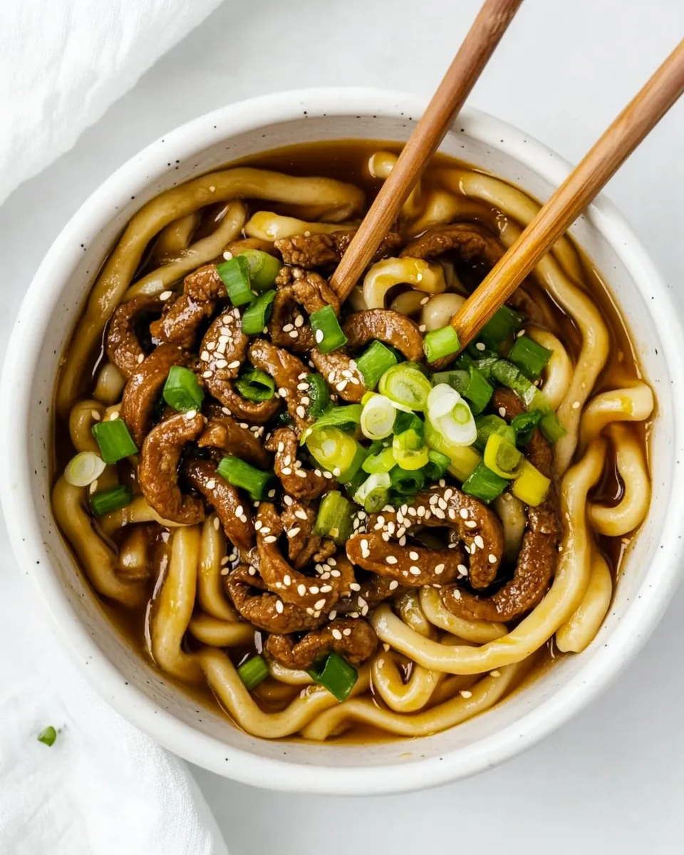 Homemade Yaki Udon photo